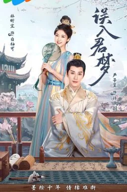 误入君梦