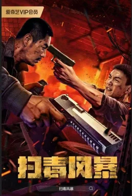 扫毒风暴